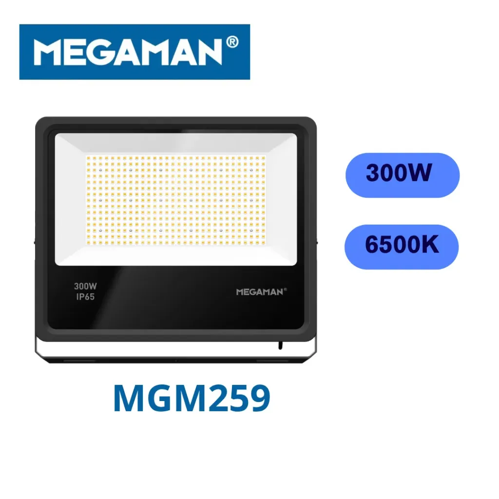 [MGM259] Projecteur led 300W 6500K Megaman