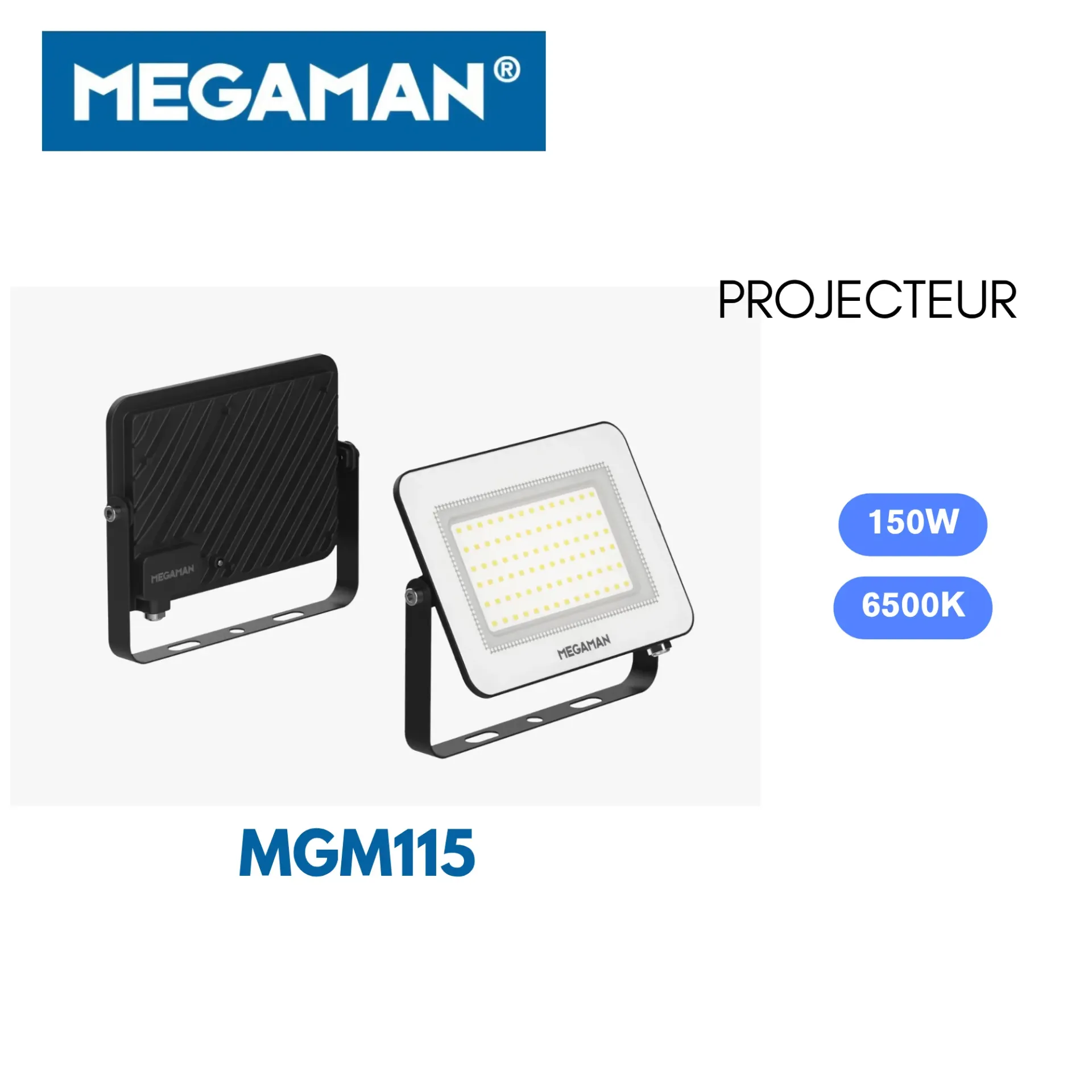 [MGM115] Projecteur led 150w 6500K Flood Megaman (6pcs/ct)