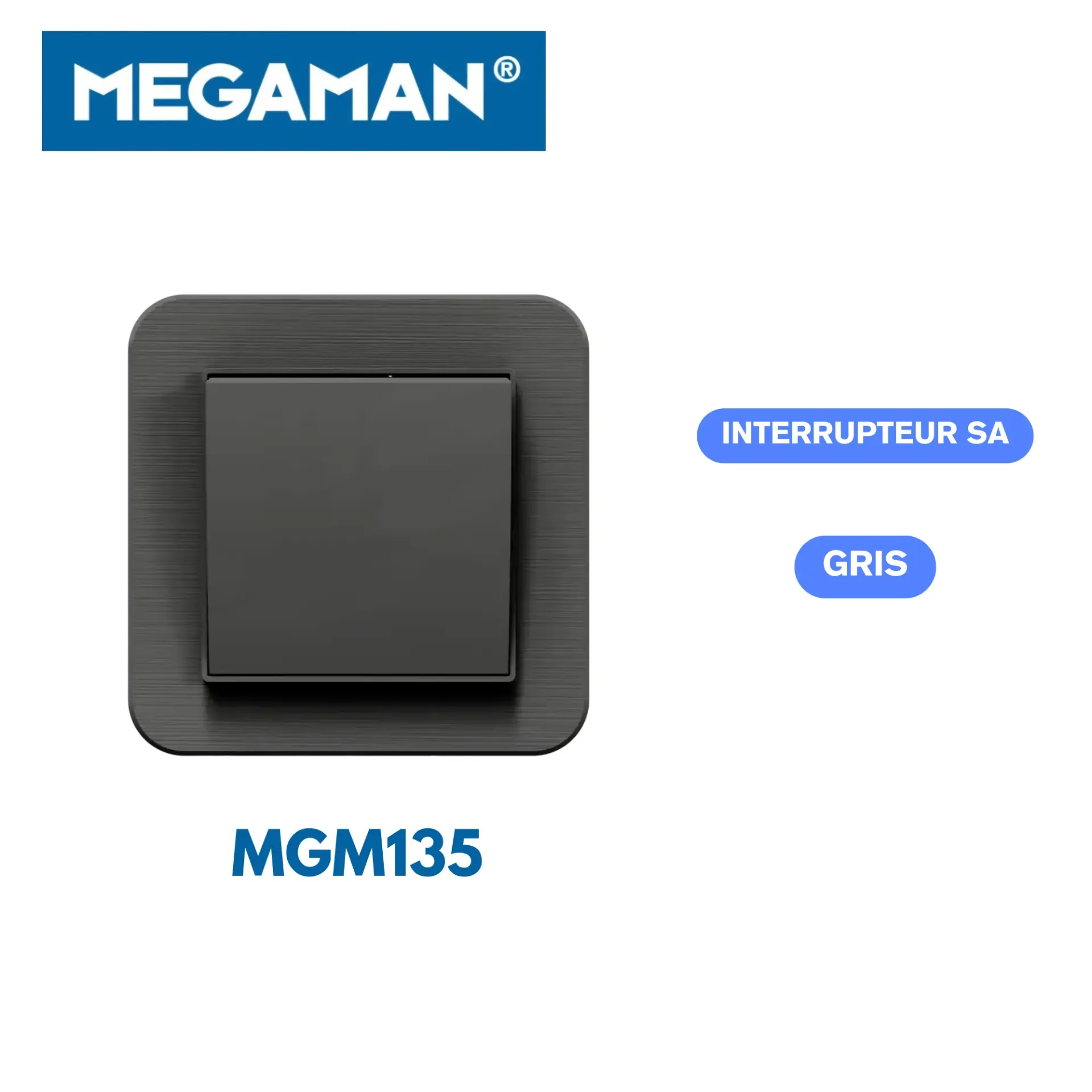 [MGM135] Interrupteur SA gris Megaman (120pcs/ct)