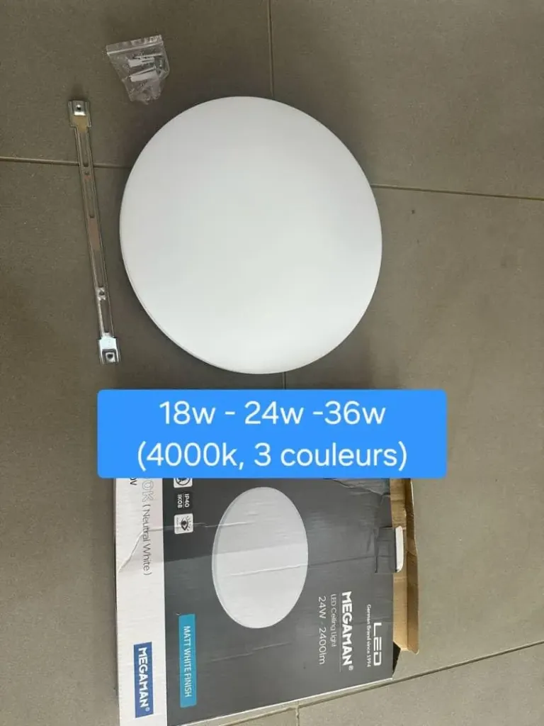 [MGM104-1] Globe apparent led 18W 3 couleurs Katia Megaman (20pcs/ct)